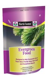 FL-Evergreen-Food-10716
