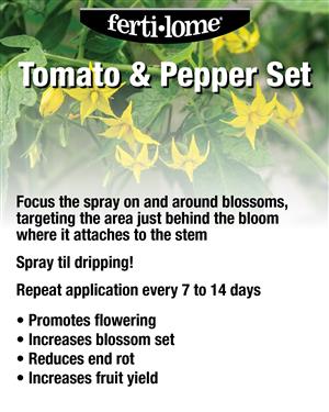 10027 Tomato and Pepper Set 72 dpi USE image 2 (1)